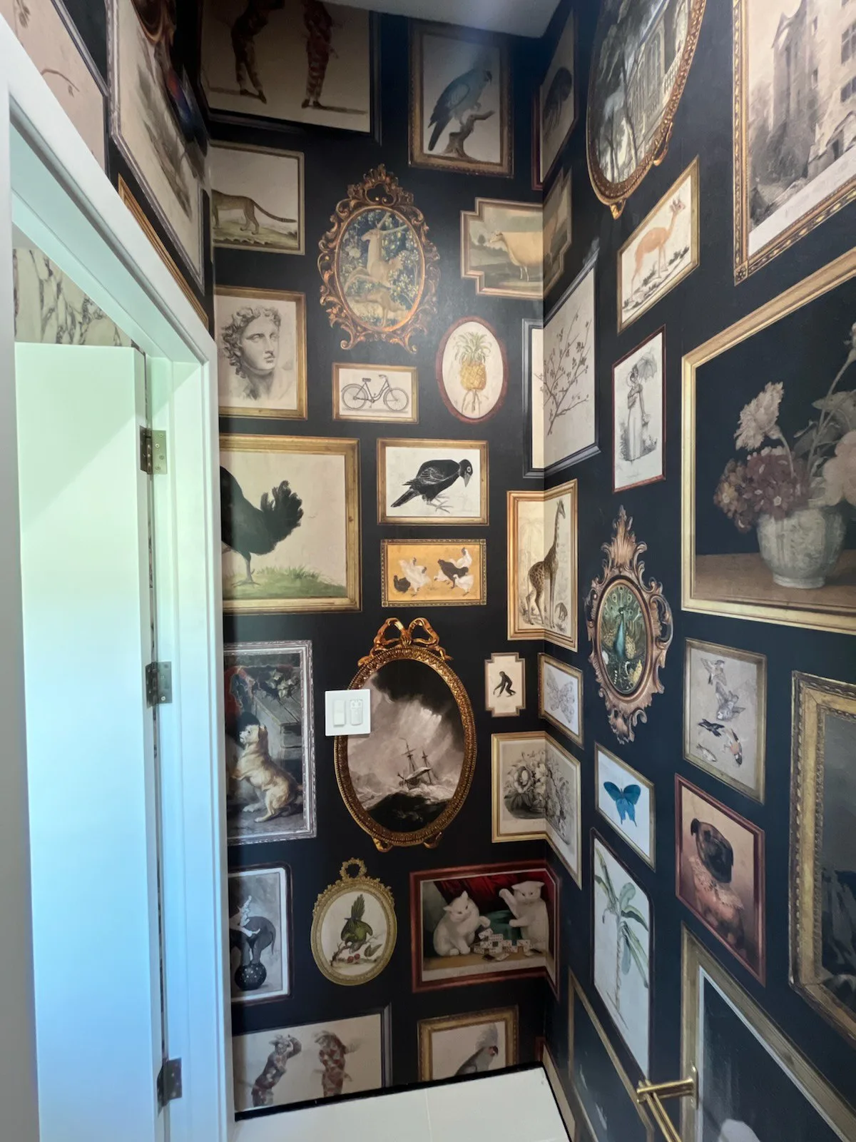 Historic home wallpaper installation San Diego
